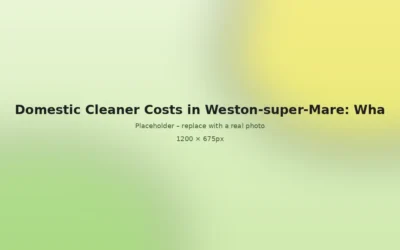 Domestic Cleaner Costs in Weston-super-Mare: What Affects the Price?