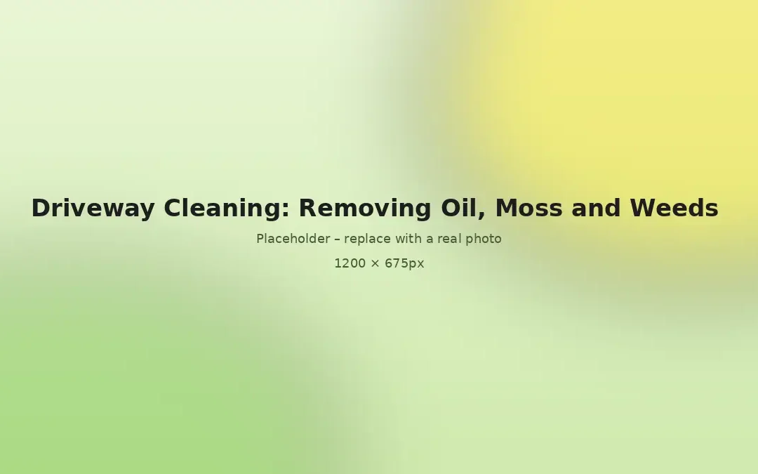 Driveway Cleaning: Removing Oil, Moss and Weeds the Right Way